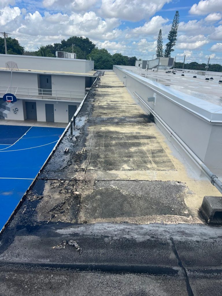 Substrate Preparation